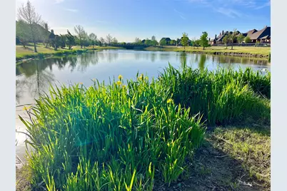 714 Halpin Avenue, Celina, TX 75009 - Photo 36