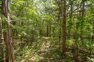 75 Lake Point Loop, Pottsboro, TX 75076 - Photo 18