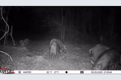 17584 Fm 1252, Winona, TX 75792 - Photo 24