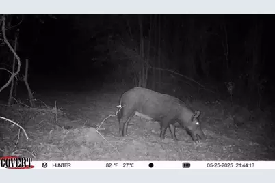17584 Fm 1252, Winona, TX 75792 - Photo 22
