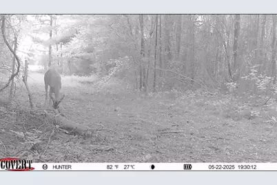 17584 Fm 1252, Winona, TX 75792 - Photo 20