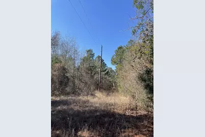 17584 Fm 1252, Winona, TX 75792 - Photo 6