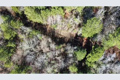 17584 Fm 1252, Winona, TX 75792 - Photo 4