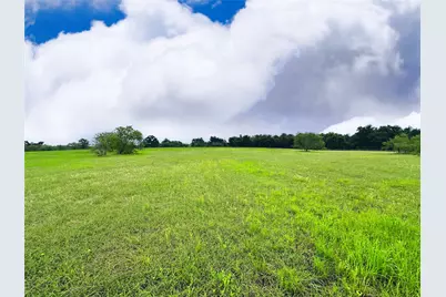 Lot 134 Lake Vista Drive, Streetman, TX 75859 - Photo 12