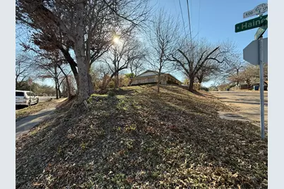 1137 Haines Avenue #1137, Dallas, TX 75208 - Photo 20