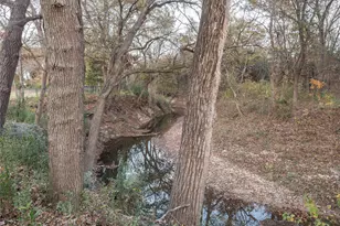 1290 Camino Real, Fairview, TX 75069 - Photo 36