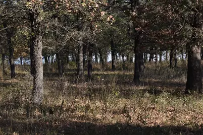 318 Fm 2488, Covington, TX 76636 - Photo 14