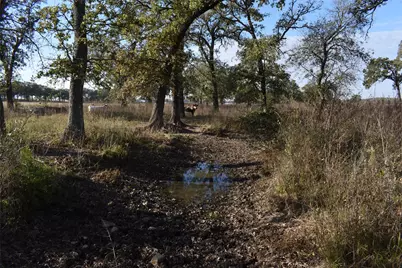 318 Fm 2488, Covington, TX 76636 - Photo 8