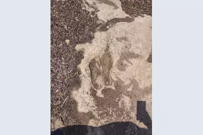 2523 County Road 218, Hico, TX 76457 - Photo 16