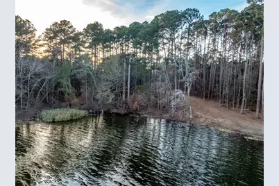 Tbd Oak River, Frankston, TX 75763 - Photo 4