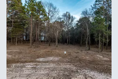 Tbd Oak River, Frankston, TX 75763 - Photo 2