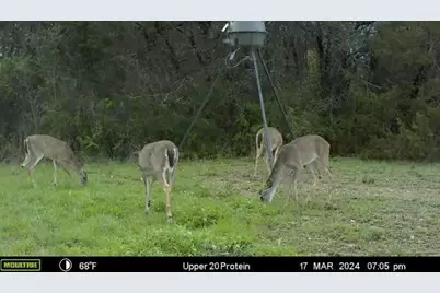 2523 Cr 218, Hico, TX 76457 - Photo 34