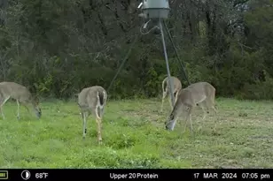 2523 Cr218, Hico, TX 76457 - Photo 34