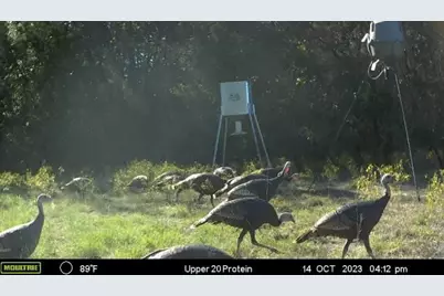 2523 Cr 218, Hico, TX 76457 - Photo 36