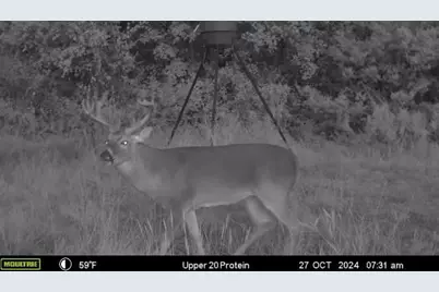 2523 Cr 218, Hico, TX 76457 - Photo 32