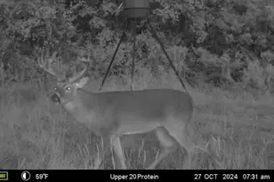 2523 Cr218, Hico, TX 76457 - Photo 32