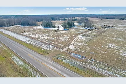 Tbd 100 Acres Fm-1396, Ivanhoe, TX 75447 - Photo 6