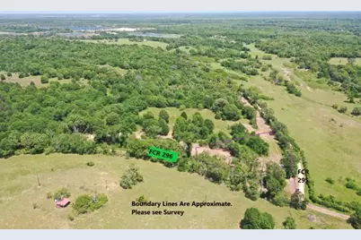 Tract 3 County Road 295, Oakwood, TX 75855 - Photo 2