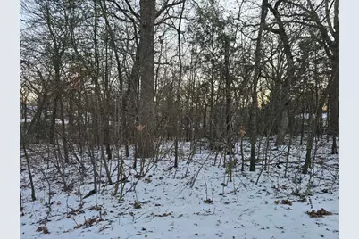 Lot 750 Doe Run Road, Gun Barrel City, TX 75156 - Photo 2