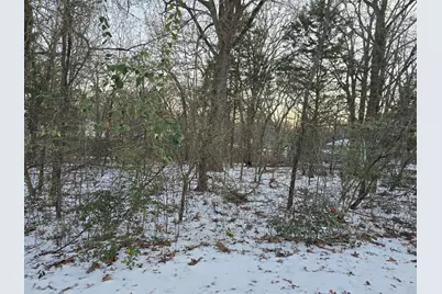 Lot 750 Doe Run Road, Gun Barrel City, TX 75156 - Photo 4