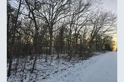 Lot 752 Doe Run Road, Gun Barrel City, TX 75156 - Photo 2