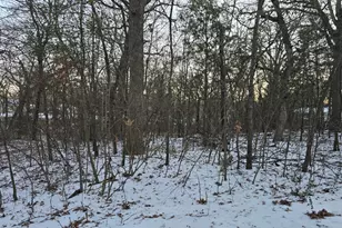 Lot 751 Doe Run Rd, Gun Barrel City, TX 75156 - Photo 1