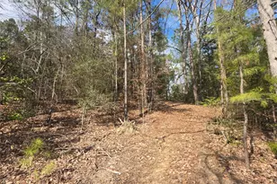 12787 Fm 1002 S, Big Sandy, TX 75755 - Photo 6