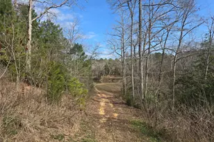 12787 Fm 1002 S, Big Sandy, TX 75755 - Photo 4