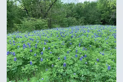 141 County Road 2349, Richland, TX 76681 - Photo 6