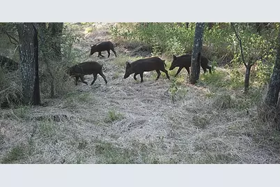 141 County Road 2349, Richland, TX 76681 - Photo 40