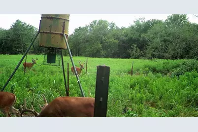 141 County Road 2349, Richland, TX 76681 - Photo 26