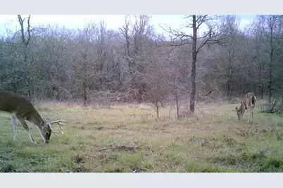 141 County Road 2349, Richland, TX 76681 - Photo 30