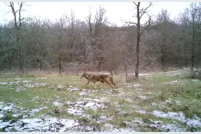 141 County Road 2349, Richland, TX 76681 - Photo 36