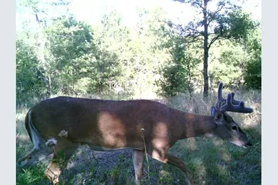 141 County Road 2349, Richland, TX 76681 - Photo 2