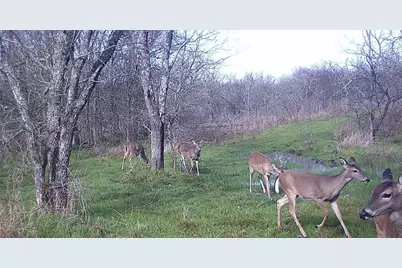 141 County Road 2349, Richland, TX 76681 - Photo 16