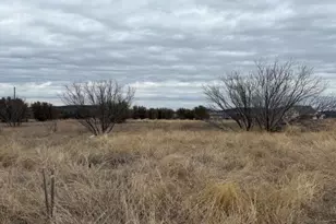 905 Blue Jay Ln, Graford, TX 76449 - Photo 1