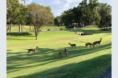 106 Baytree Trail, Mabank, TX 75147 - Photo 4