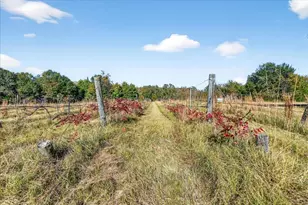 1603 Van Zandt County Road 2908, Eustace, TX 75124 - Photo 18