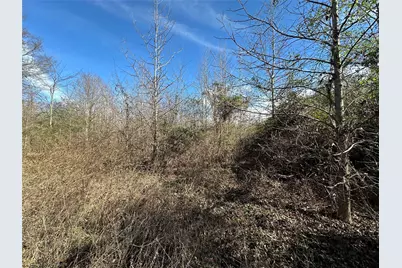 0000 County Road 2324, Como, TX 75431 - Photo 14