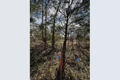 0000 County Road 2324, Como, TX 75431 - Photo 6