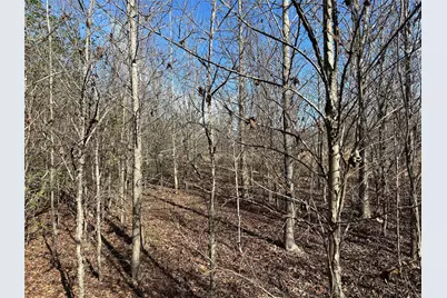 0000 County Road 2324, Como, TX 75431 - Photo 16