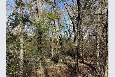 0000 County Road 2324, Como, TX 75431 - Photo 8