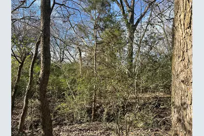 0000 County Road 2324, Como, TX 75431 - Photo 10