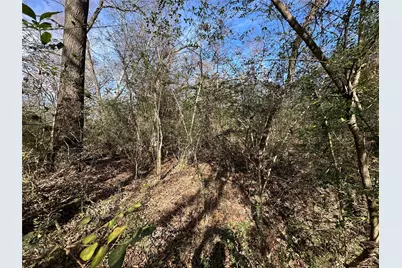 0000 County Road 2324, Como, TX 75431 - Photo 12