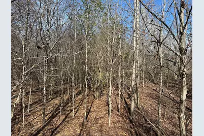 0000 County Road 2324, Como, TX 75431 - Photo 18