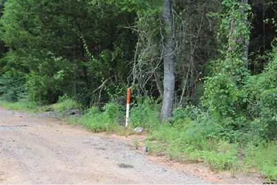 Tbd Loop 456 - 14.73 Acres, Jacksonville, TX 75766 - Photo 2