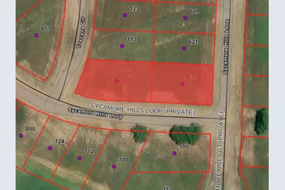 101 Tuscany Hills Lane, Gordonville, TX 76245 - Photo 2