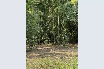 Tbd Sandbog, Athens, TX 75751 - Photo 30