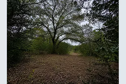 262 Palomino Loop, Whitney, TX 76692 - Photo 8