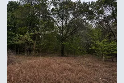 262 Palomino Loop, Whitney, TX 76692 - Photo 4